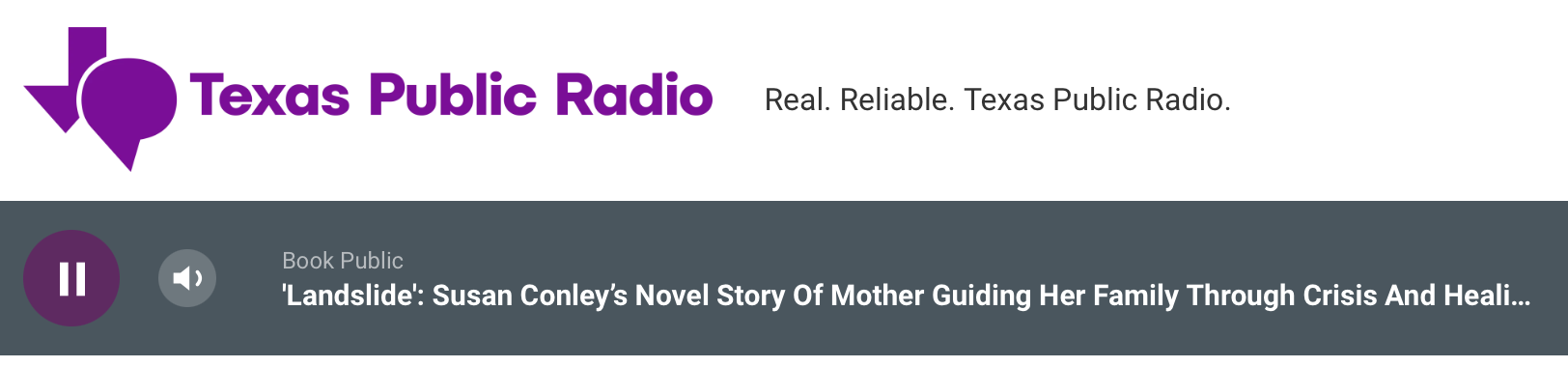 Listen: Texas Public Radio's Book Public
